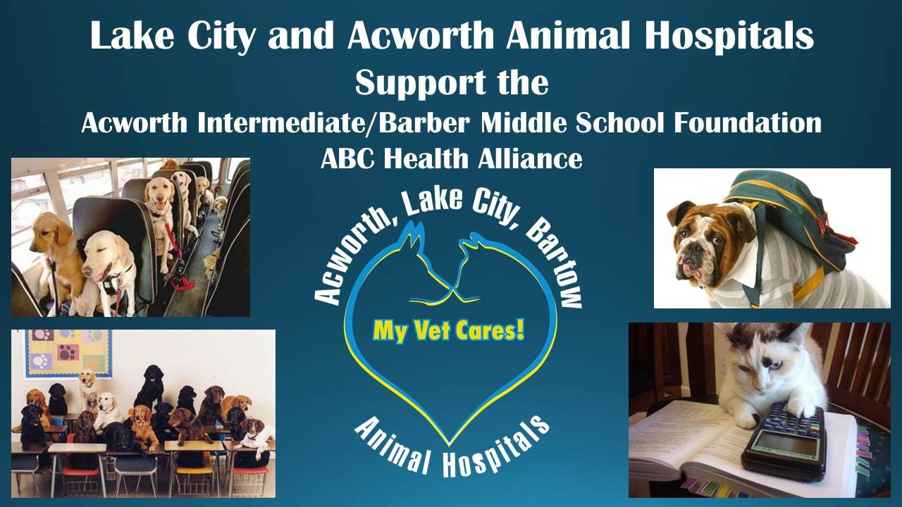 Lake City and Acworth Animal Hospitals